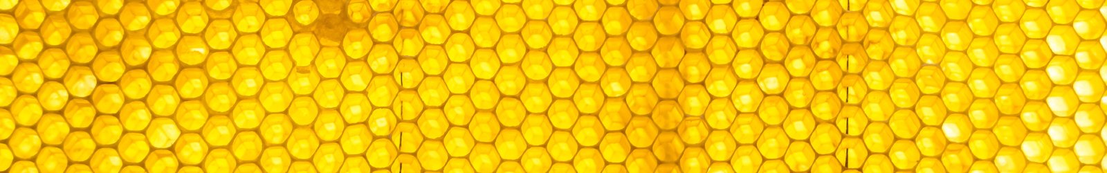 Eqops Document Review Consistency and Professionalism